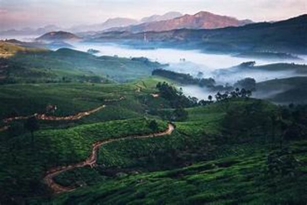 MUNNAR TOUR PACKAGE