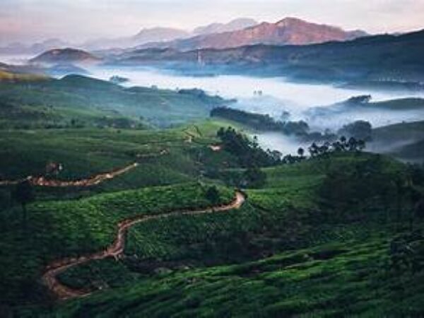 MUNNAR TOUR PACKAGE